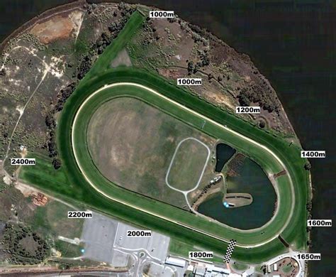 belmont races results|Racing Results .